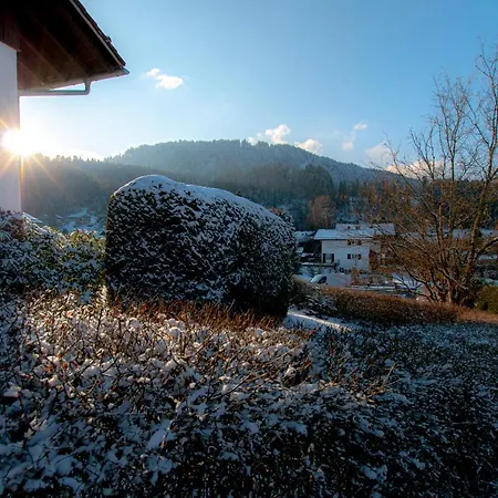 Kontaktlos - Sonnige Alpine Zentral&ruhig By Stayfritz